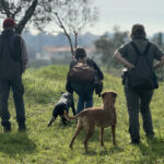 Toskana Spezial Urlaub mit Hund Hundegruppe Toskana Training